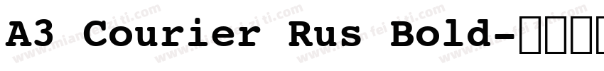 A3 Courier Rus Bold字体转换